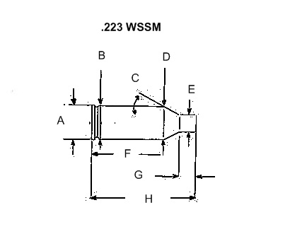 223 wssm final.jpg